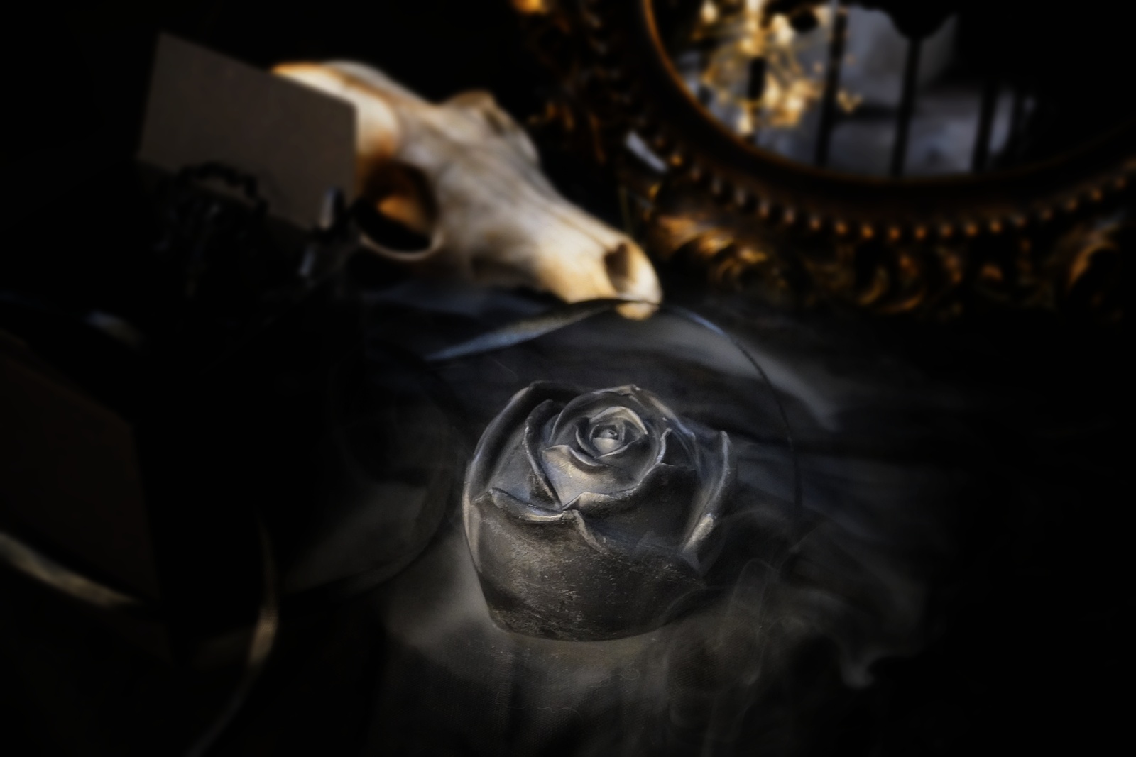 Dark rose - obrazek 2
