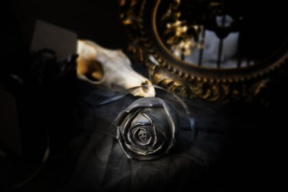 Dark rose