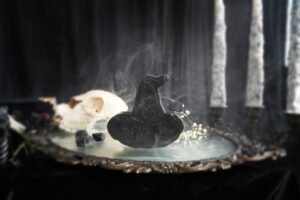 Witchy Hat