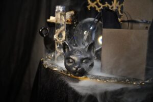 Dark cat