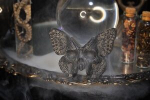 Dark Moth